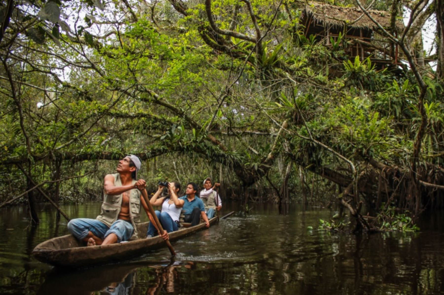Mitos y leyendas de la selva peruana